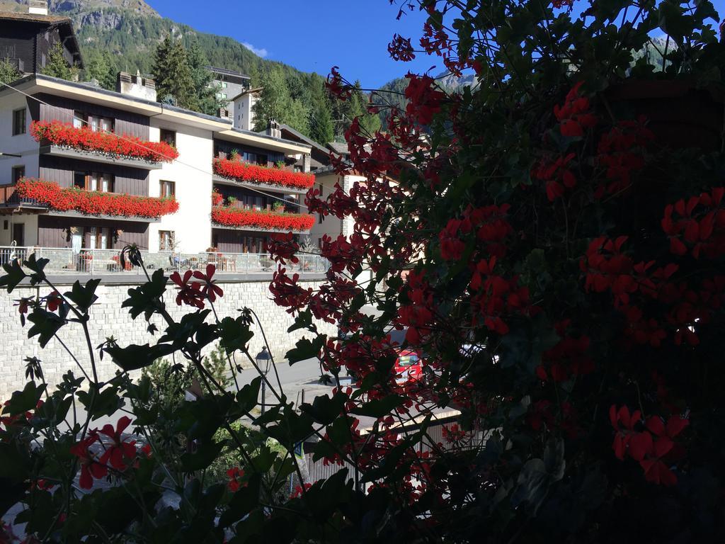 Appartamentinid * Valtournenche